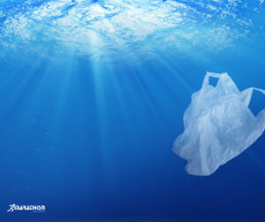 Colectarea și reciclarea plasticului: cum se realizează corespunzător?