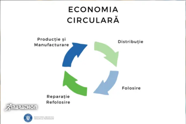 schema economie circulara